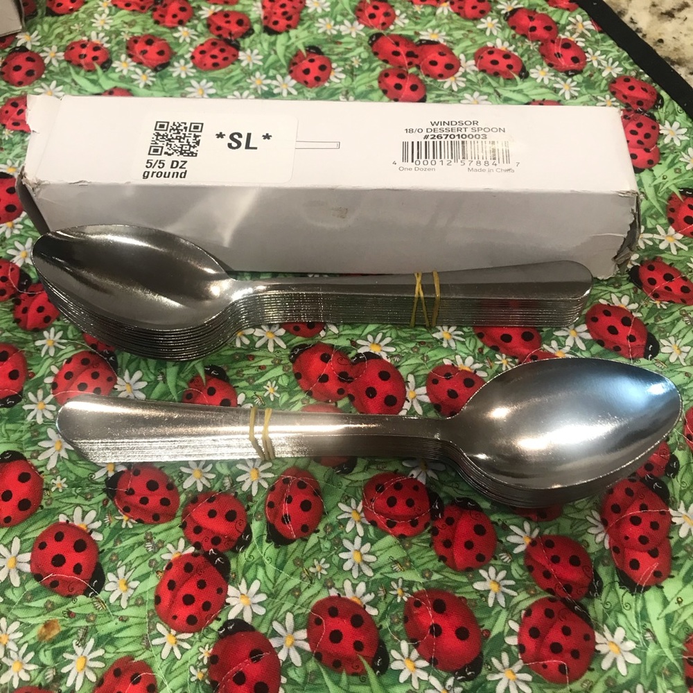 NWT Windsor Dessert Spoon - 1 dozen each pack